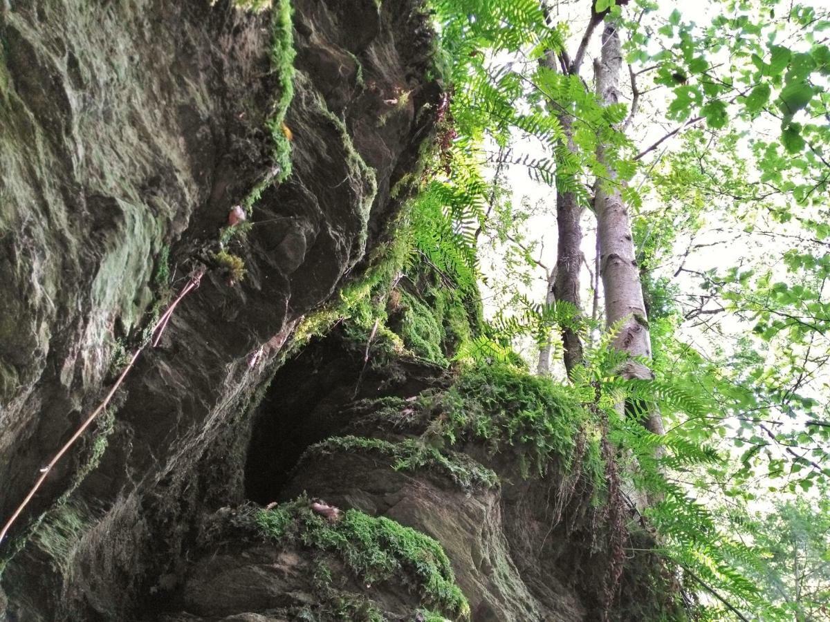 Fewo Well Gladenbach Экстерьер фото