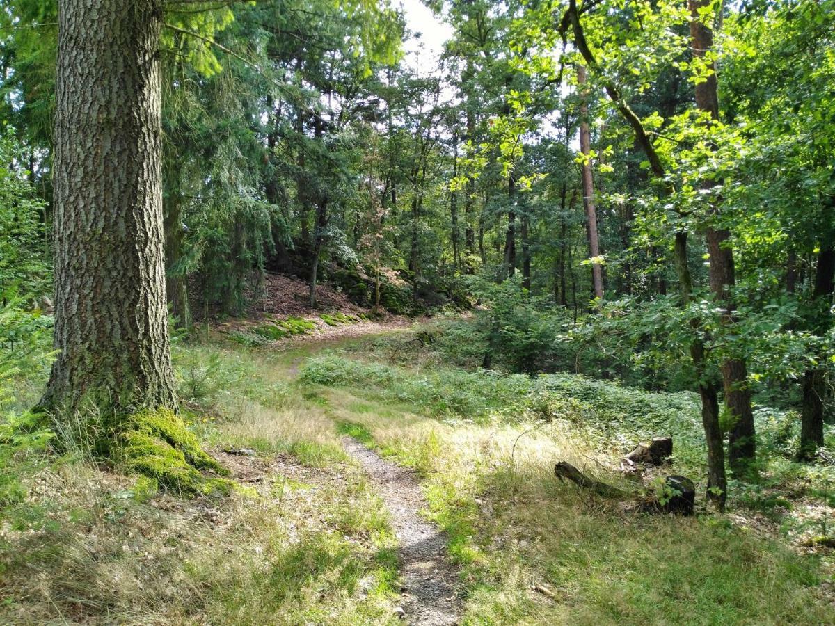 Fewo Well Gladenbach Экстерьер фото