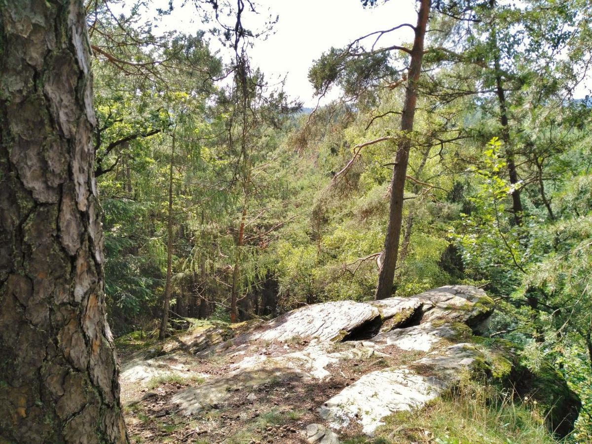 Fewo Well Gladenbach Экстерьер фото