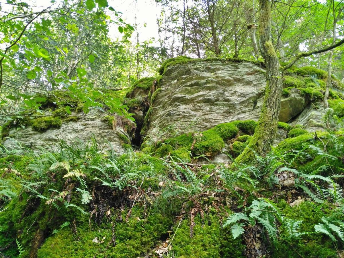 Fewo Well Gladenbach Экстерьер фото