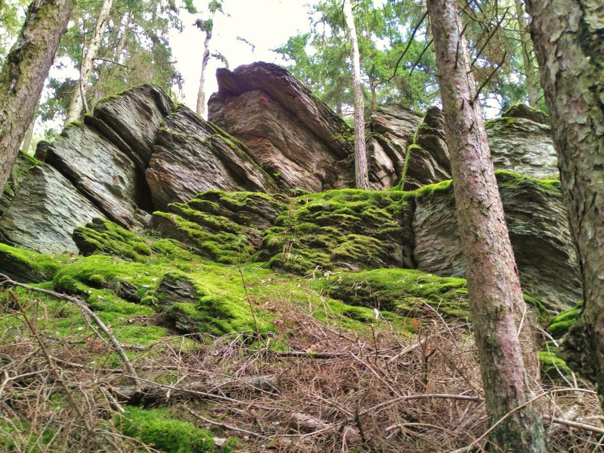 Fewo Well Gladenbach Экстерьер фото