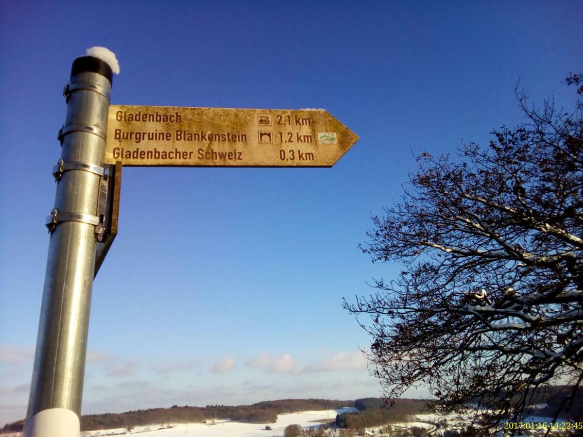 Fewo Well Gladenbach Экстерьер фото